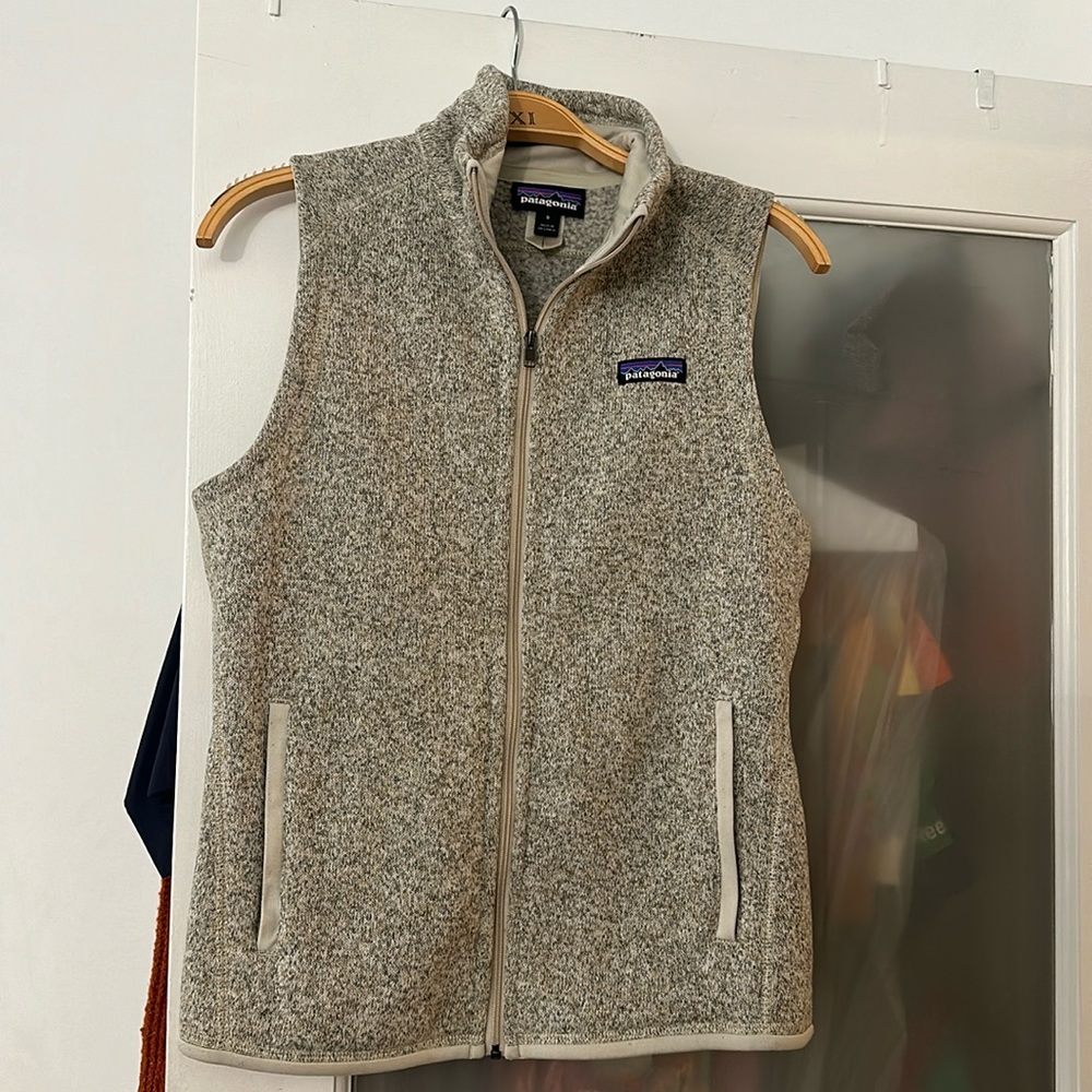 Patagonia Gray Fleece Vest